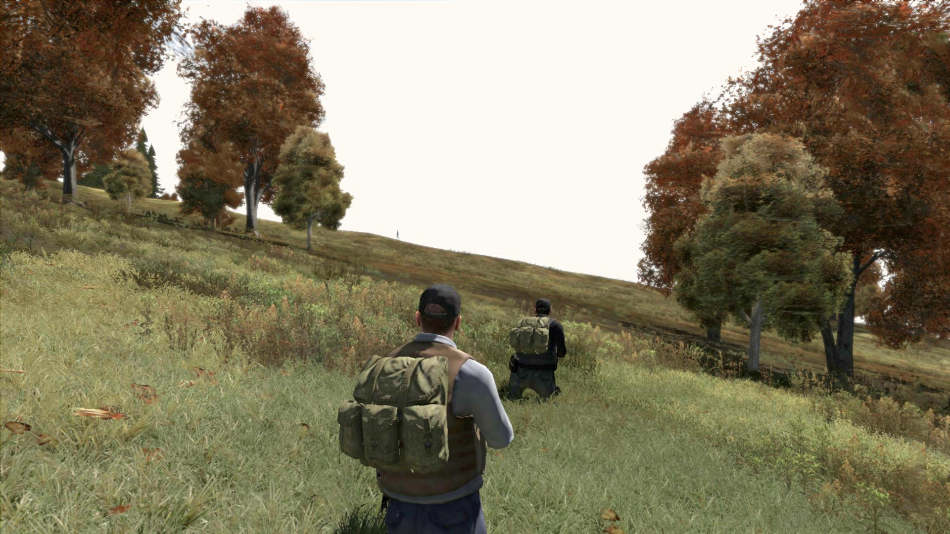 как скачать arma 2 dayz mod в стиме фото 91